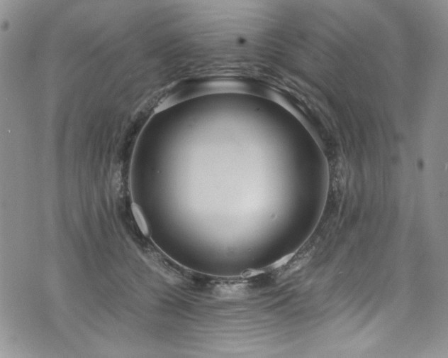 X0000076270560200609281208