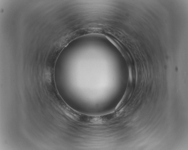 X0000076270562200609281208