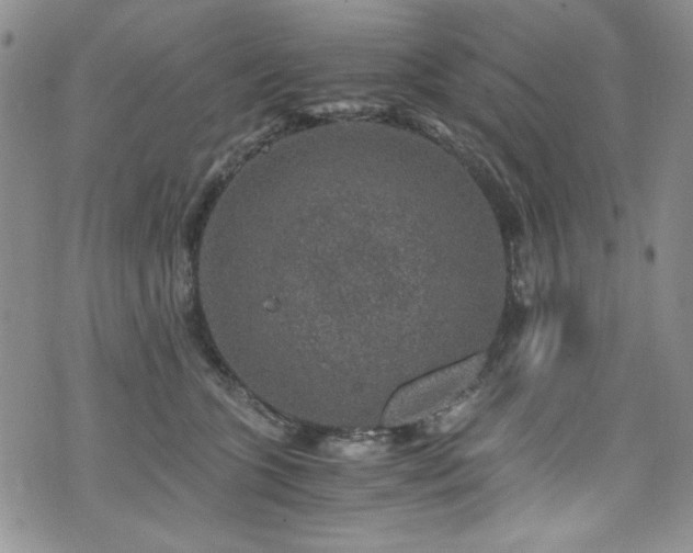 X0000076270563200609281208