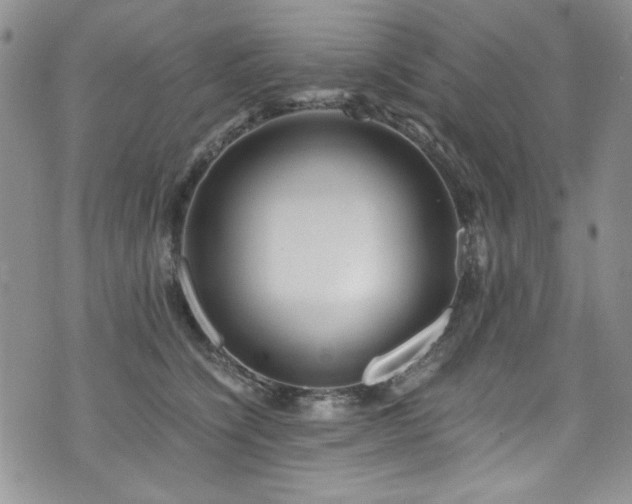 X0000076270564200609281208