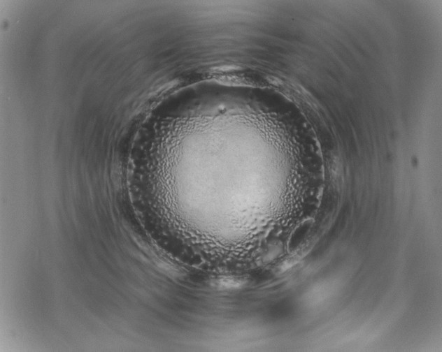 X0000076270565200609281208