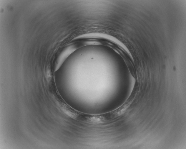 X0000076270566200609281208