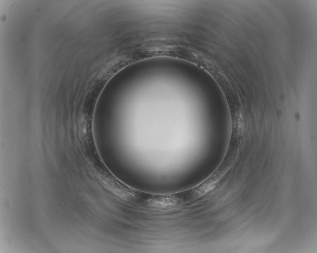 X0000076270567200609281208