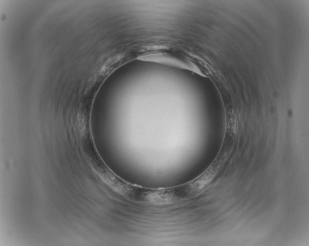 X0000076270568200609281208