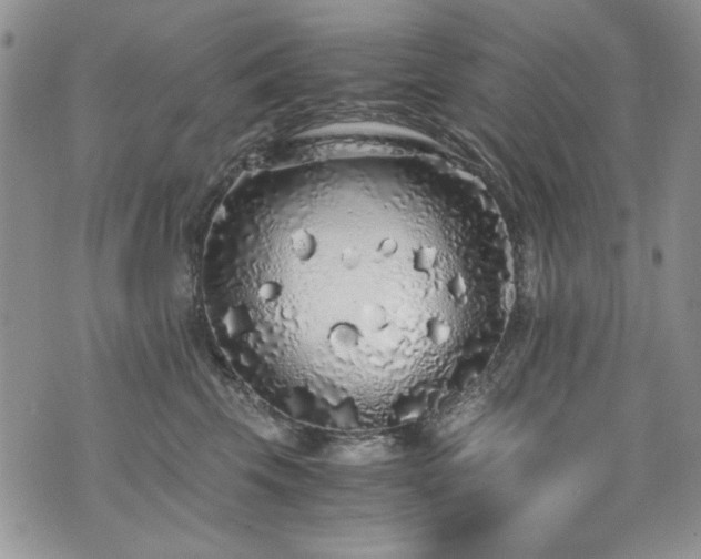 X0000076270569200609281208