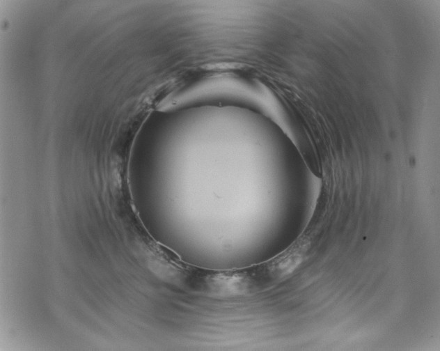 X0000076270570200609281208