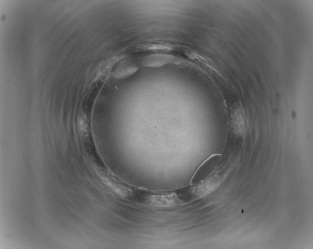 X0000076270571200609281208