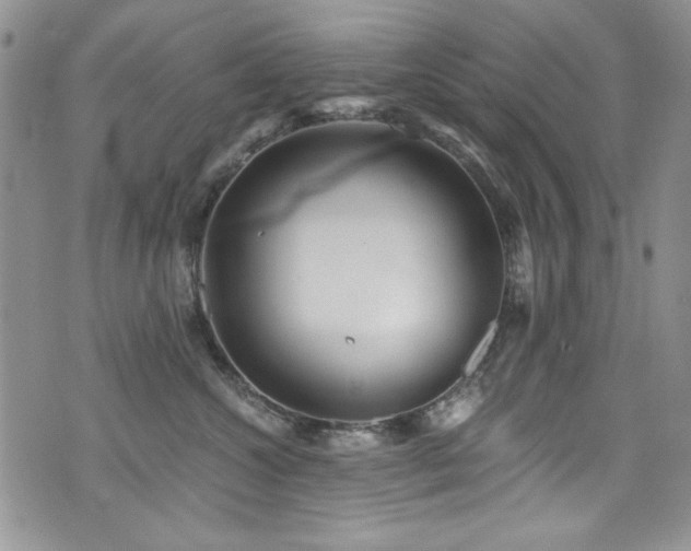 X0000076270572200609281208