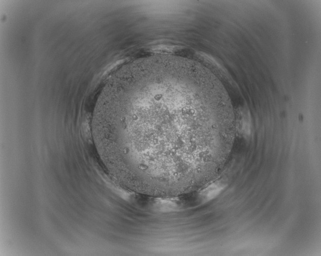 X0000076270573200609281208