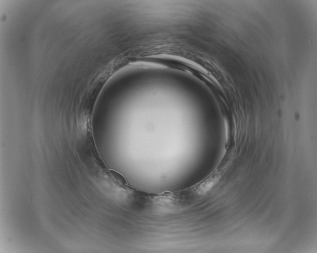 X0000076270574200609281208