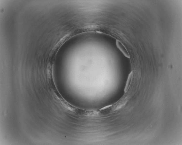 X0000076270576200609281208