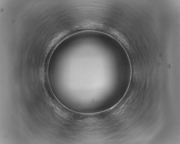 X0000076270578200609281208