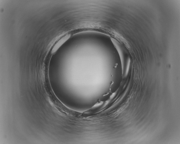 X0000076270580200609281208