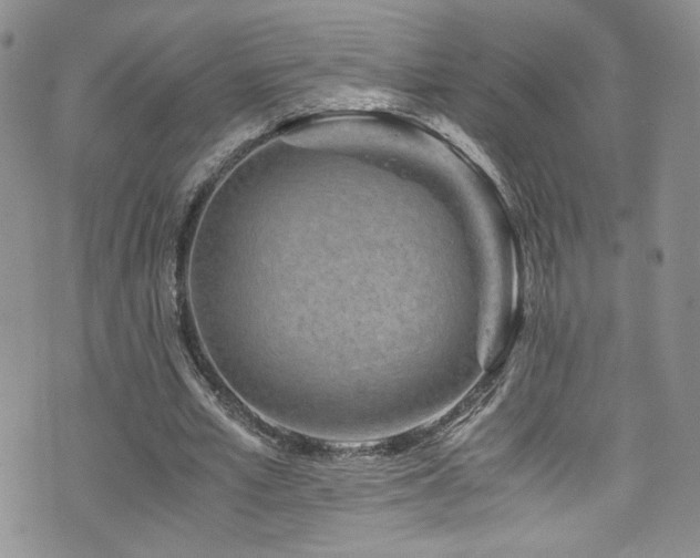 X0000076270581200609281208