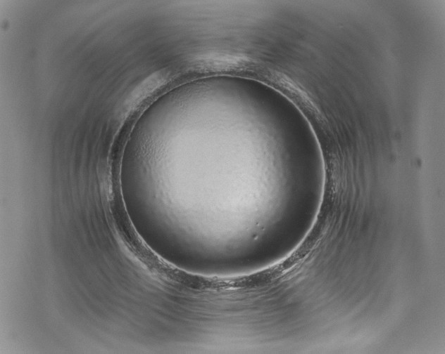 X0000076270582200609281208