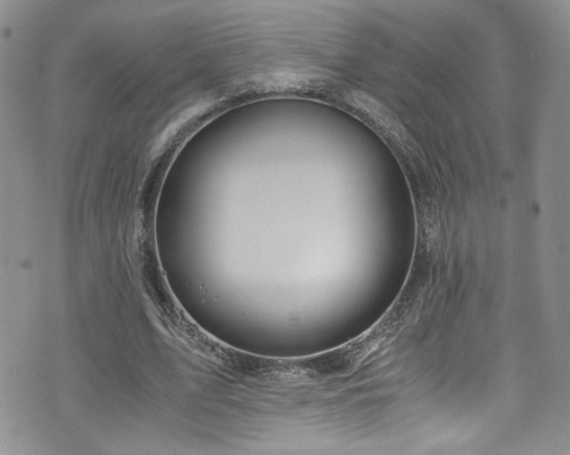 X0000076270583200609281208