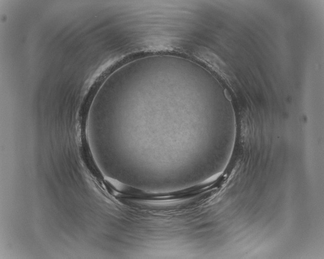 X0000076270584200609281207