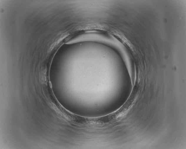 X0000076270585200609281207