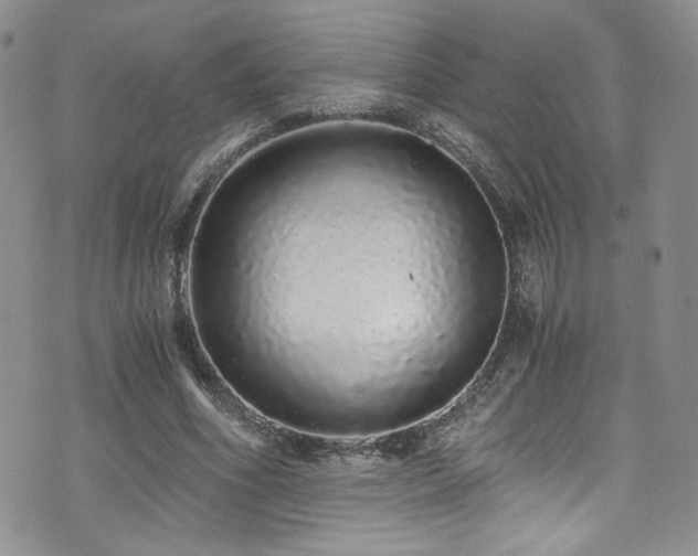 X0000076270586200609281207