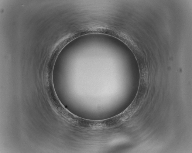 X0000076270587200609281207