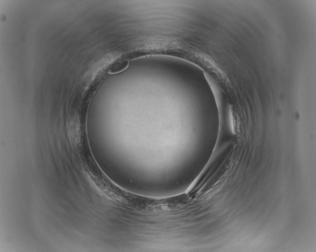 X0000076270588200609281207