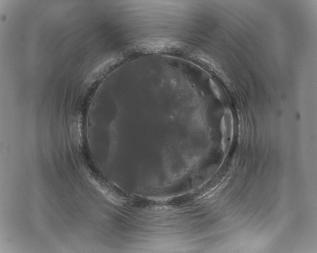 X0000076270590200609281207