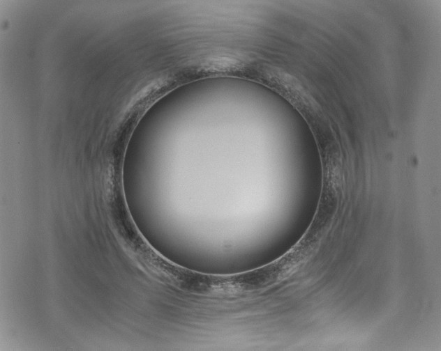 X0000076270591200609281207