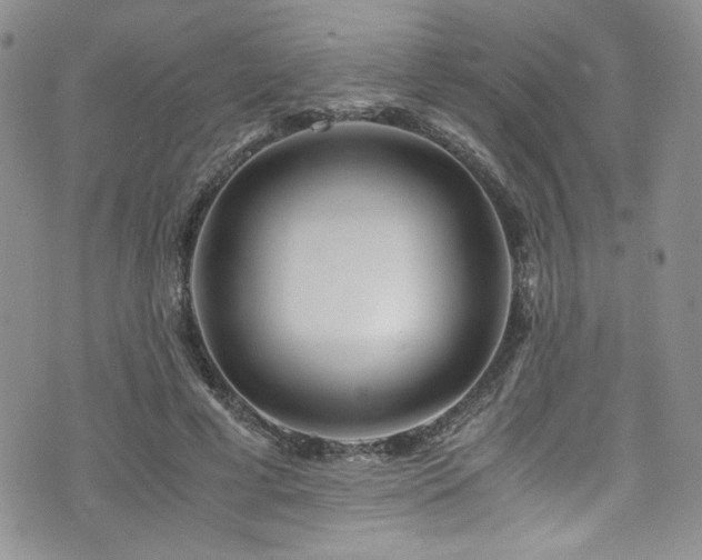 X0000076270593200609281207