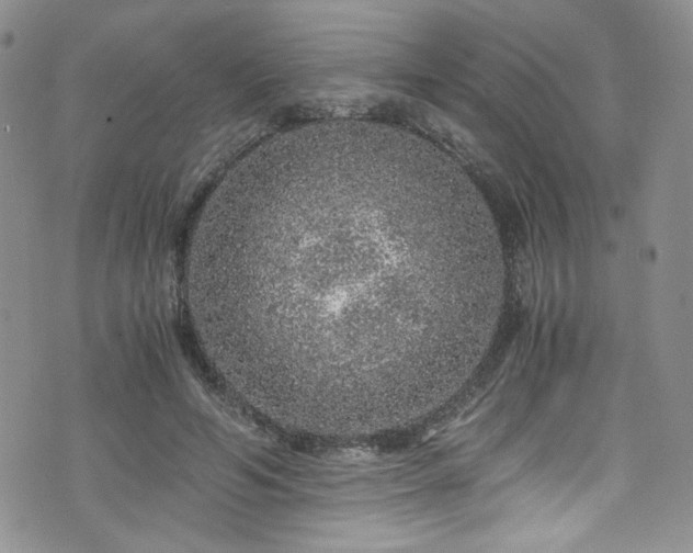 X0000076270594200609281207