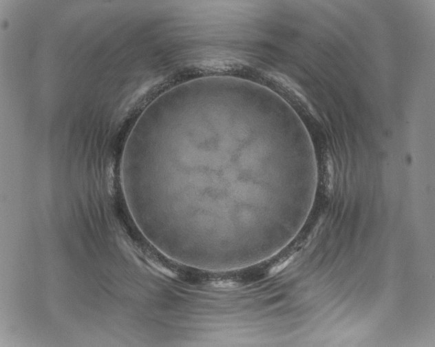 X0000076270596200609281207