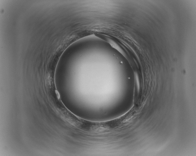 X0000076270597200609281207