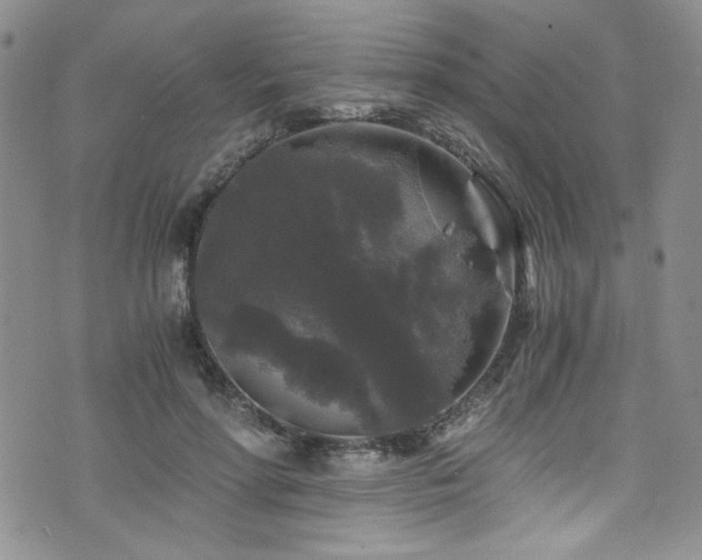 X0000076270598200609281207