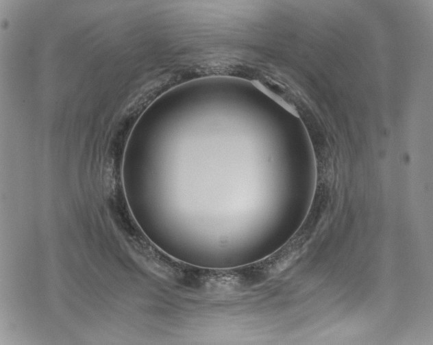 X0000076270599200609281207