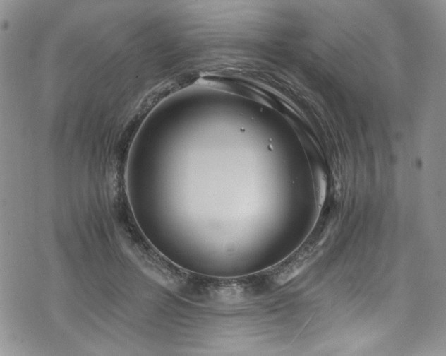 X0000076270600200609281207