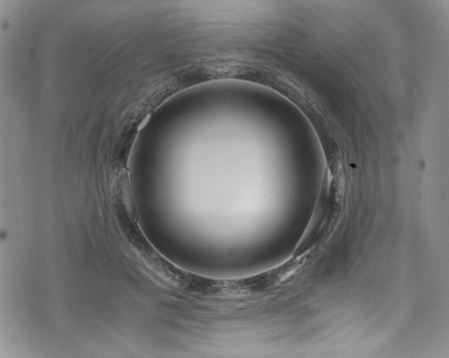 X0000076270601200609281207