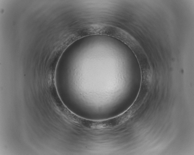 X0000076270602200609281207