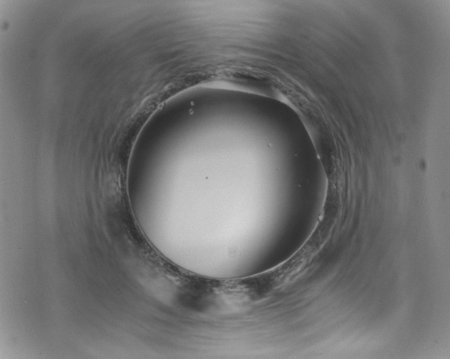 X0000076270603200609281207