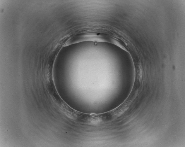 X0000076270604200609281207