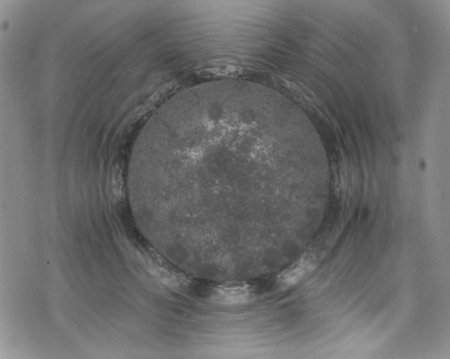 X0000076270606200609281207