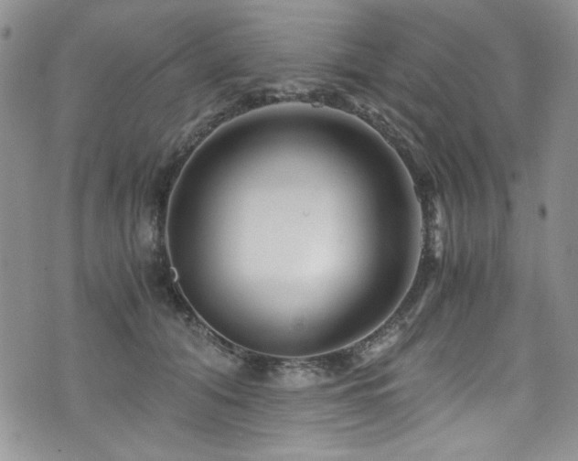 X0000076270608200609281207