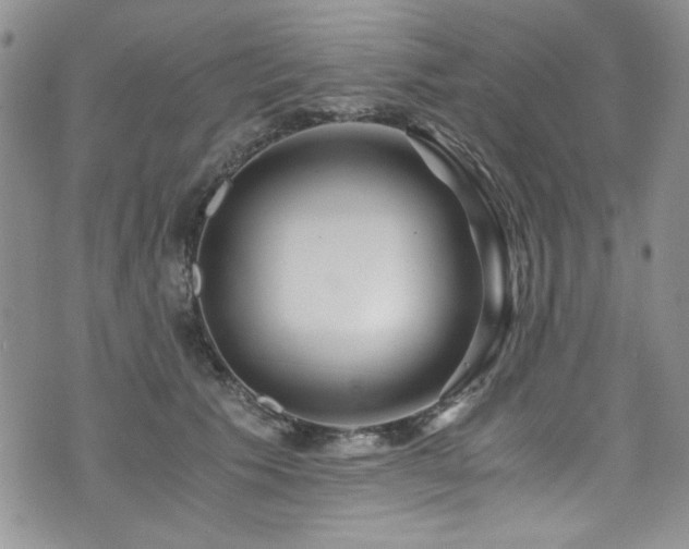 X0000076270609200609281207