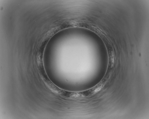 X0000076270611200609281207