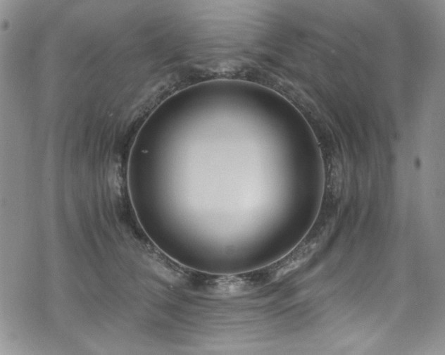 X0000076270612200609281207