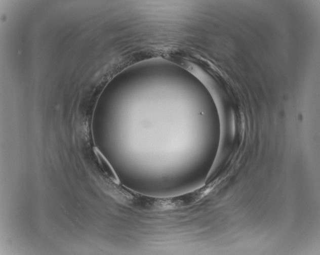 X0000076270613200609281207