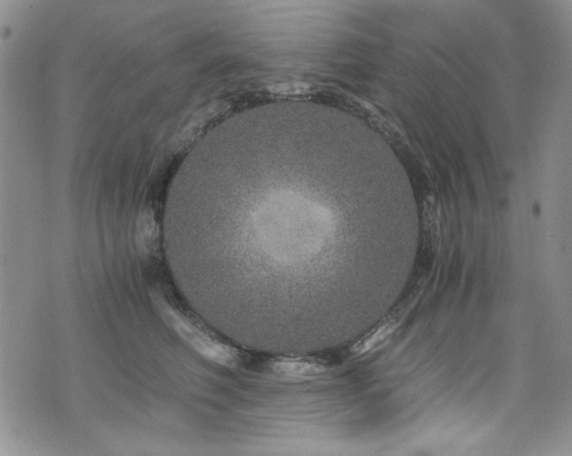 X0000076270614200609281207