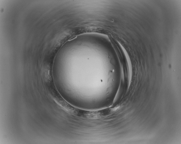 X0000076270615200609281207