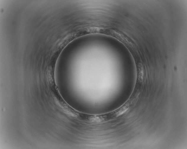 X0000076270616200609281207