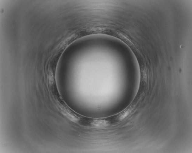 X0000076270617200609281207