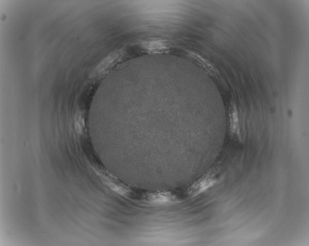 X0000076270618200609281207