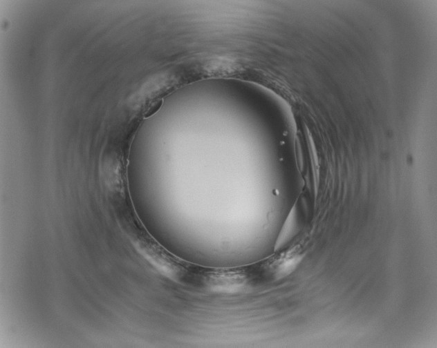 X0000076270619200609281207